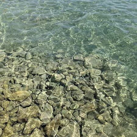 Ground Floor 50m From *