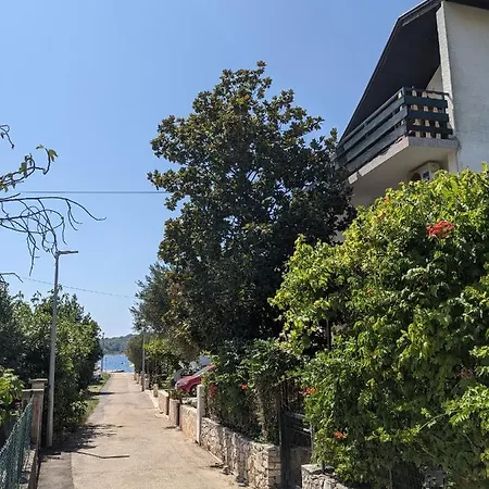 Ground Floor 50m From *