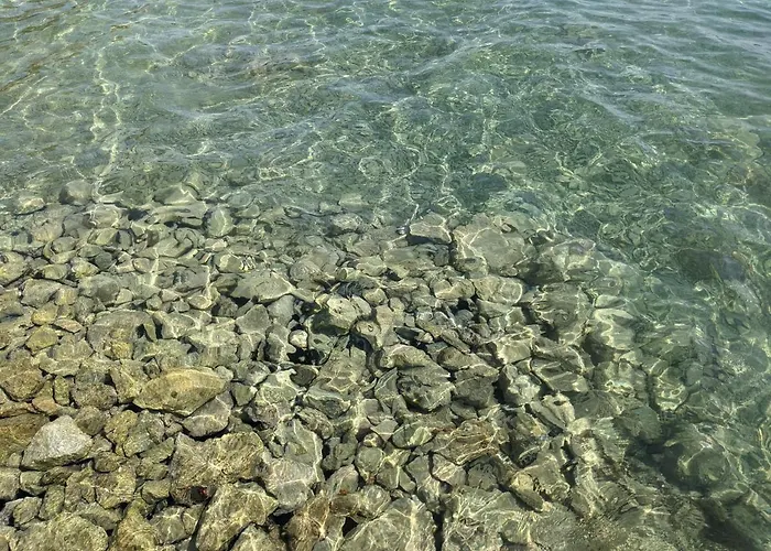 Ground Floor 50m From *