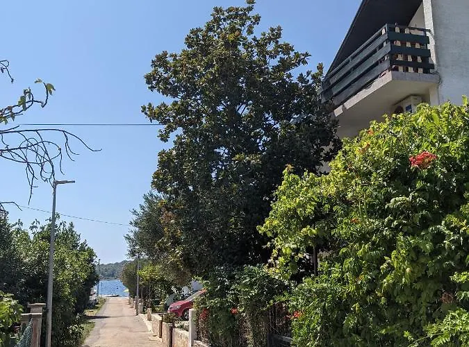 Ground Floor 50m From *